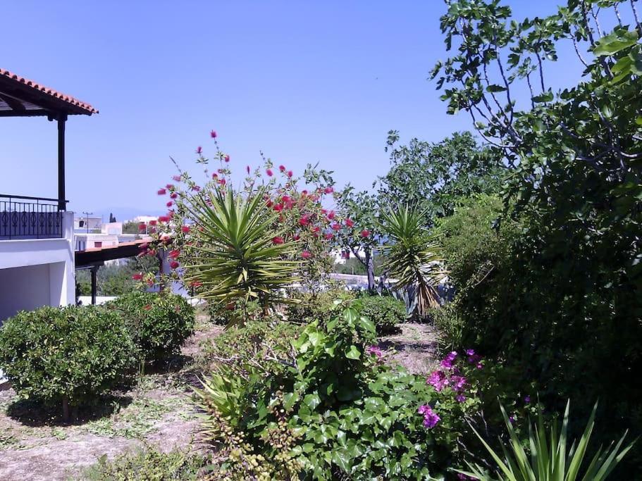 Explore Aegina Island Souvala Bagian luar foto